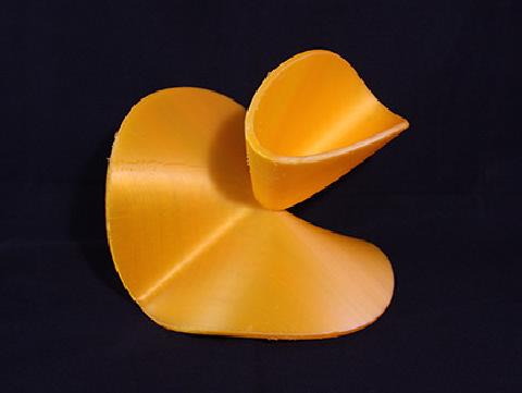 a 3d printed surface: Calypso