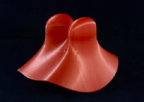 a 3d printed surface: Dromedar