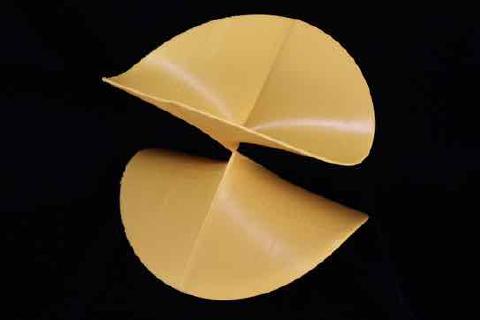 a 3d printed surface: Limao