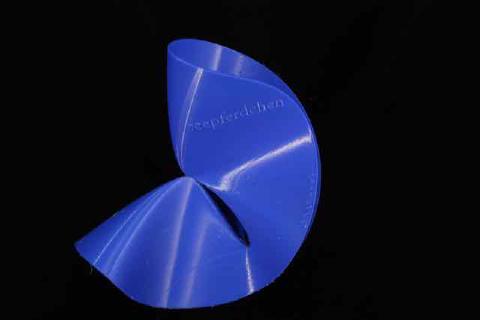 a 3d printed surface: Seepferdchen