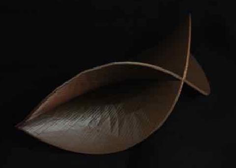 a 3d printed surface: Wigwam