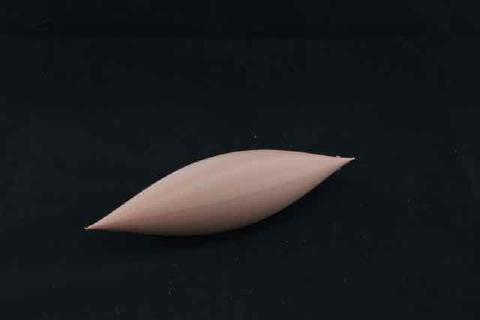 a 3d printed surface: Zitrus