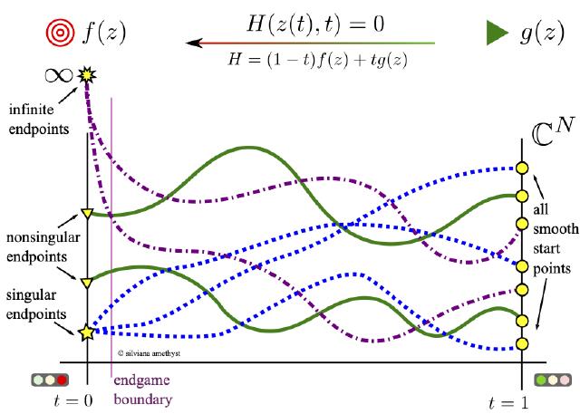 an illustration of homotopy continuation, tracking from 1 to 0 an illustration of homotopy continuation, tracking from 1 to 0