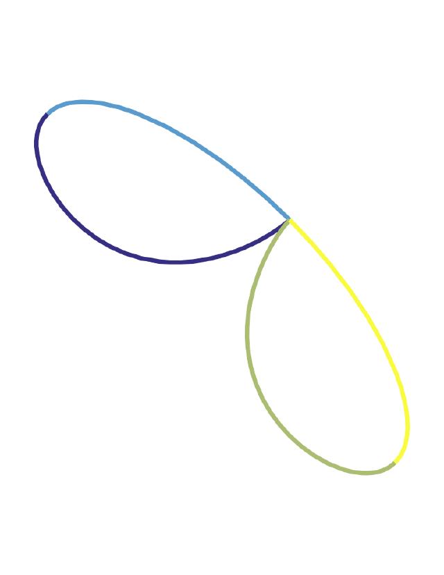 a real quartic curve in the plane -- the butterfly curve